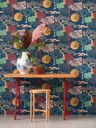     Rasch Amazing (0,5310,05) ,  539967 (.)