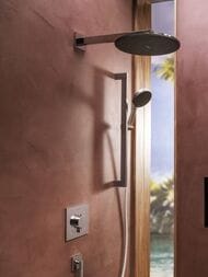 Верхний душ Hansgrohe Raindance Alive S 24540000 300 2jet с держателем, хром — изображение 8