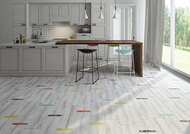   Lasselsberger  (200600)  6264-0063-1001 (..)