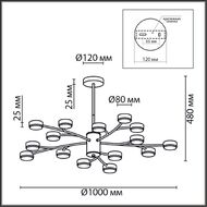 ������ �� ������ Lumion Torina 8117/18, ������