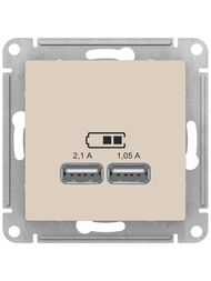 ������� Systeme Electric ATLASDESIGN USB 5� 1 ���� x 2,1� 2 ����� � 1,05� �������� ������� ATN000233