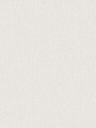 ���� ��������� �� ��������� Wall Up Bright Whisper (1.06x10.05) ���������, ������� W193022 (���)