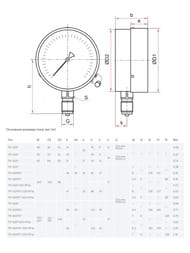 Манометр Росма ТМ-210P, 0-6 бар, 1/4", D50мм, боковое подключение (радиальное) 00000006695
