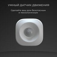 ����� ������ �������� Elektrostandard a060312, �����