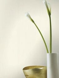     Rasch Indian Style (0,5310,05) ,  746013  (.)