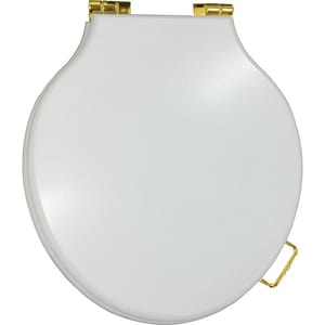 Сиденье для унитаза Devon&Devon Etoile 3IBSEBIAET с микролифтом, МДФ, белое, петли золото