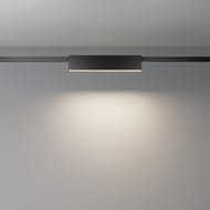 �������� ���������� Maytoni Basis Flarity (����� �������) TR151-1-12W4K-B 4000K 12�� 120�, IP20, ������