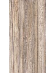 ������ ��������� Alma Ceramica Dublin (249x500) ���������� TWU09DBL404 (��.�)