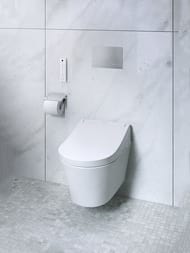 -   TOTO WASHLET RG Lite (383540130)  ..,  TCF34170GEU