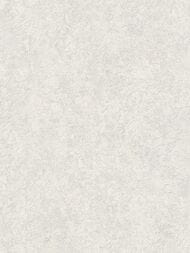 ���� ��������� �� ��������� Grandeco Anastasia A55101 (1,06�10,05) ����������, ������� (���.)