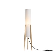 ��������� ���������� Freya Bliss (���� ����) FR5543FL-01T, 220/240 V, IP 20, �����