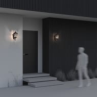 ��������� ���������� Maytoni Albion (�������) O413WL-01BZ1, E27�1 60�� IP 44, ������