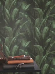 ���� ��������� �� ��������� Rasch Back to Nature (0.53x10.05) ������, ������� 416237 (���.)