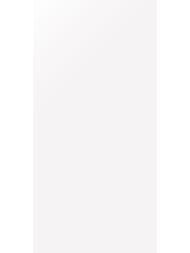 ��������������� ������ LAMINAM ITALY Collection Bianco AssolutoLuc(1000�3000�5,6)LAMFF00577_IT(��.�)