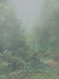 ����� Armani / Casa Precious Fibers 2 (3,48�3,00) ��������, ������� 9400 GA4  (��)