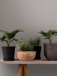     Marburg Floralia 82349 (10,050,53) ,  (.)