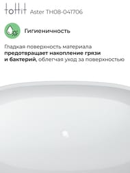    toHit Aster 1700760580,  , , TH08-041706