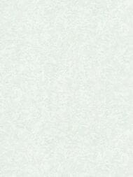 ���� ��������� �� ��������� ROBERTO CAVALLI Home 8 (1,06�10,05) ����������, ����� 19056 (���.)