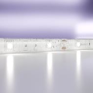 ������������ ����� Maytoni Led Strip 10125, 12� 5050 7,2��/�  6000K 5� IP65, �����