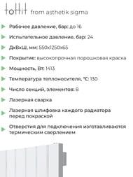 �������� �������� toHit from asthetik sigma, 8 ������, 550�1250�65, 1413 ��, ������������, ���������