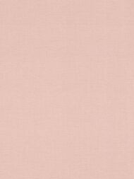     Rasch Amazing (0,5310,05) ,  531350 (.)