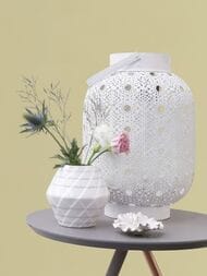     Rasch Cuisine/Florentine (0,53x10,05) ,  447521 (.)