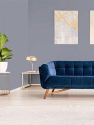 ���� ������������ Hygge 77 Colors C9 05 (1,00�10,05) ���������� (���.)