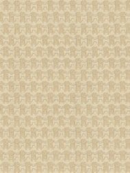 ���� ��������� �� ��������� ROBERTO CAVALLI  9 (1,06�10,05) �����, ������-���������� 21036 (���.)