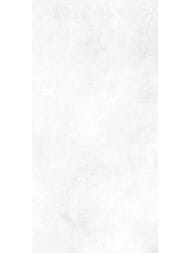 ������ ��������� Alma Ceramica Richard (249x500) ����� TWU09RCD000 (��.�)