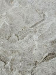 ���� ��������� �� ��������� Wiganford Fusion (1,06�10,05) ����������, �����, ER2109 (���.)