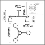 ������ �� ������ Lumion Rosalina 8098/3C, �����
