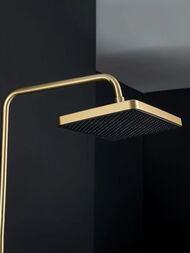 ������� ������� � ���������� �������, ������ � ������� ����� , FRAP ����� �������, F2461-3