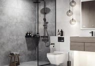   Meissen Ideal (448898) , - 16666 (..)
