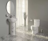 ������ ������� Sanita Luxe ART FLORA DM (630x345x755) ������� �� ���������� soft close (������ ����)