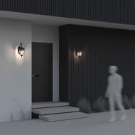 ��������� ���������� Maytoni Fleur (����) O414WL-01BZ, E27�1 60�� IP 44, ������