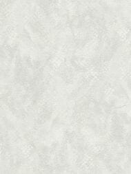 ���� ��������� �� ��������� ROBERTO CAVALLI  9 (1,06�10,05) ����������, ����� 21059 (���.)