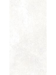 ������ ��������� Alma Ceramica Piemonte (249x500) ����� TWU09PMT004 (��.�)