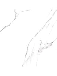 ��������������� ������ Alma Ceramica Carrara (600x600) ����� GFU04CRR00R (��.�)