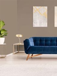 ���� ������������ Hygge 77 Colors C5 06 (1,00�10,05) ���������� (���.)