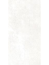 ������ ��������� Alma Ceramica Piemonte (249x500) ����� TWU09PMT004 (��.�)