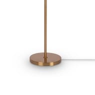 ��������� ���������� Freya Forte (���� �����) FR1006FL-01G,  IP 20, �����