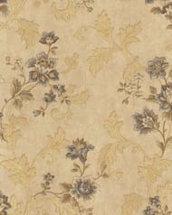 ���� ��������� �� ��������� Solo Molinella (1,06�10,00) ����� ����� �� �������, 31015-5 (���.)