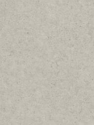 ���� ��������� �� ��������� Rasch Trend (1,06�10,05) ����������, ����� 974225 (���.)