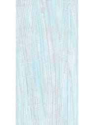 ������ ��������� Alma Ceramica North (249x500) ������� TWU09NRT606 (��.�)