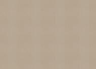     Zambaiti Vision (0,710,05) ,  76040  (.)