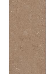 ��������������� ������ City Newport Moka NP03 (306�609) �����, �������������� (��.�.)