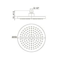 ������� ��� Paini �������, 250 ��, ��� ���������, ���� 50CR759TCARE25E