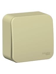 ����������� Systeme Electric BLANCA �/� 1-��������� (c�.1) ����.��., 10�, 250B, ������� BLNVA101017