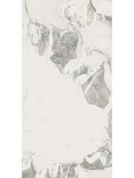 ��������������� ������ ColiseumGres Michelangelo Cold Nat (600�1200�9) �����, 610010002746 (��.�.)