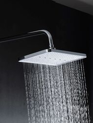 ������� ������� � ���������� �������-��������������, ������ � ������� ����� , FRAP ����, F2486